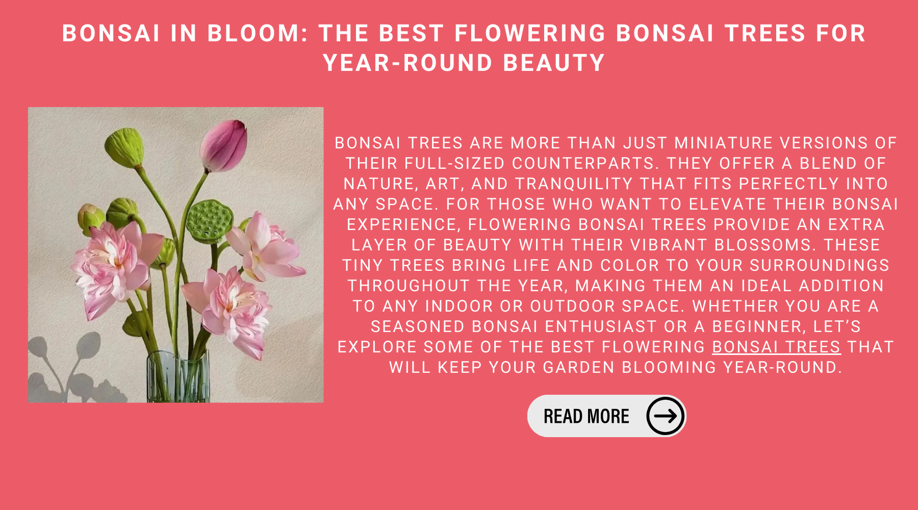 Bonsai In Bloom: The Best Flowering Bonsai Trees For Year-Round Beauty