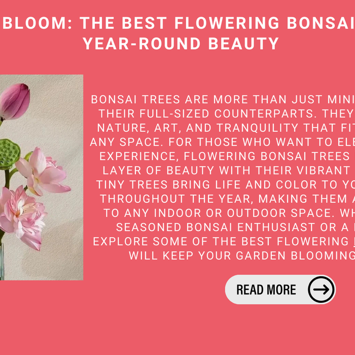 Bonsai In Bloom: The Best Flowering Bonsai Trees For Year-Round Beauty