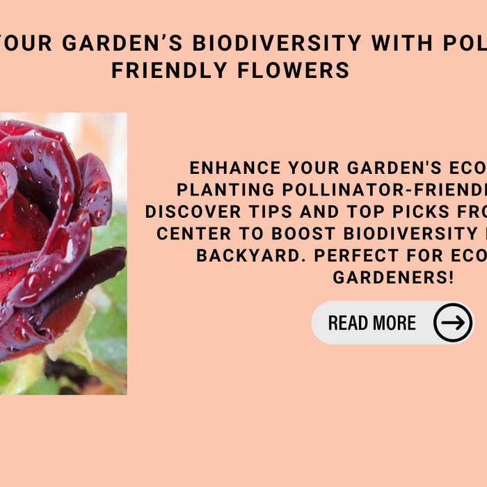 Boosting Your Garden’s Biodiversity With Pollinator-Friendly Flowers