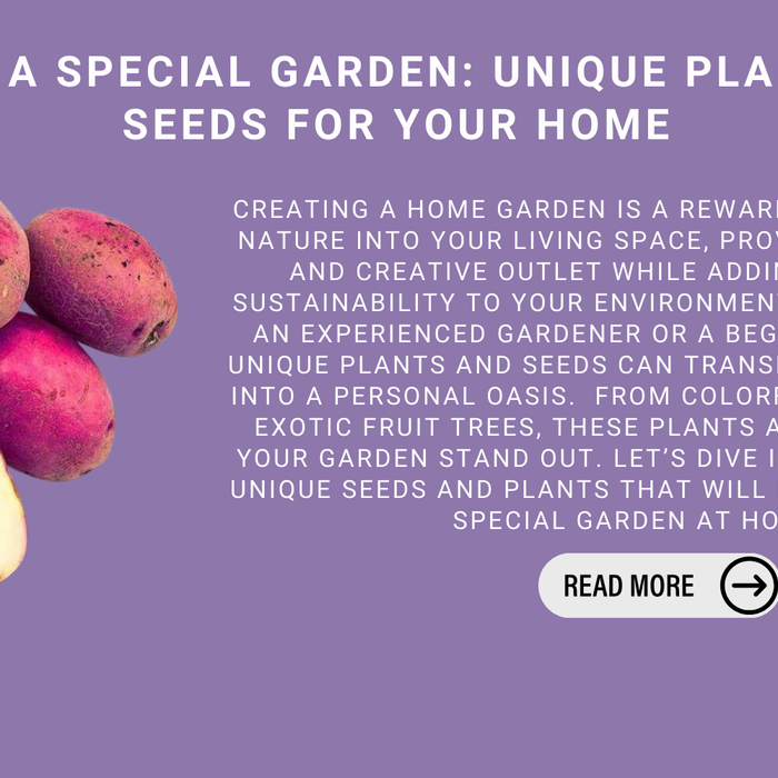 Create A Special Garden: Unique Plants And Seeds For Your Home