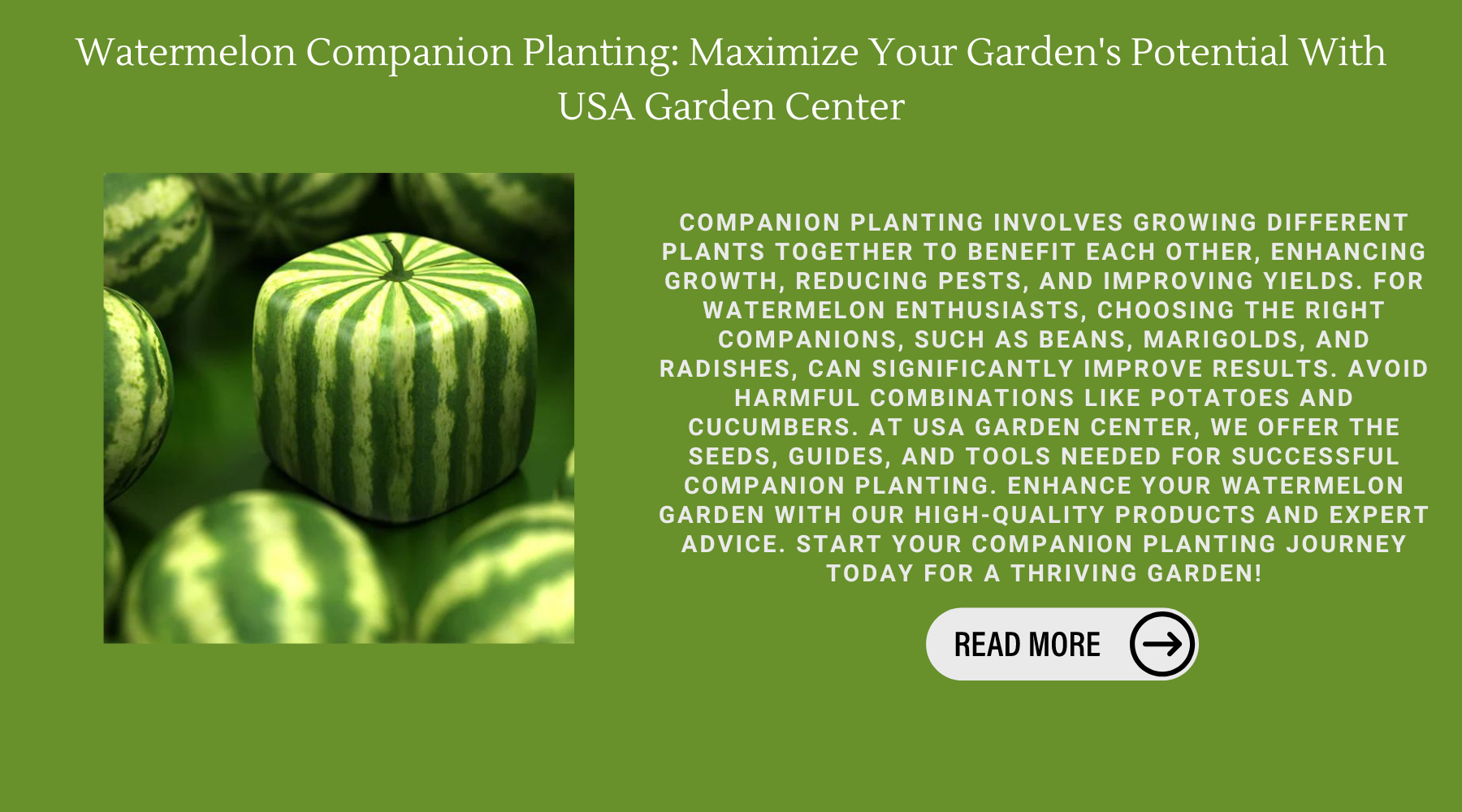 Watermelon Companion Planting: Maximize Your Garden's Potential With USA Garden Center