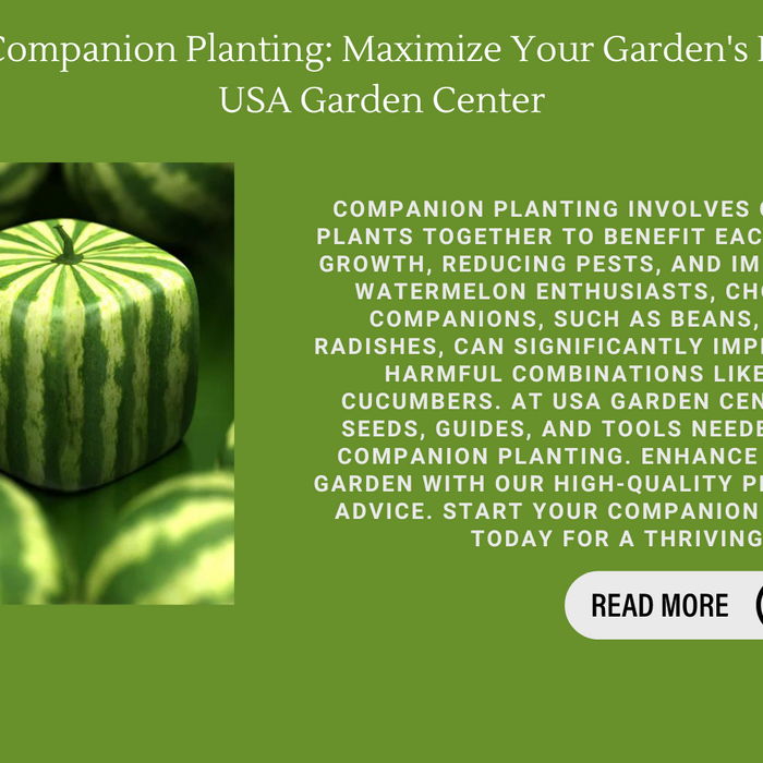 Watermelon Companion Planting: Maximize Your Garden's Potential With USA Garden Center