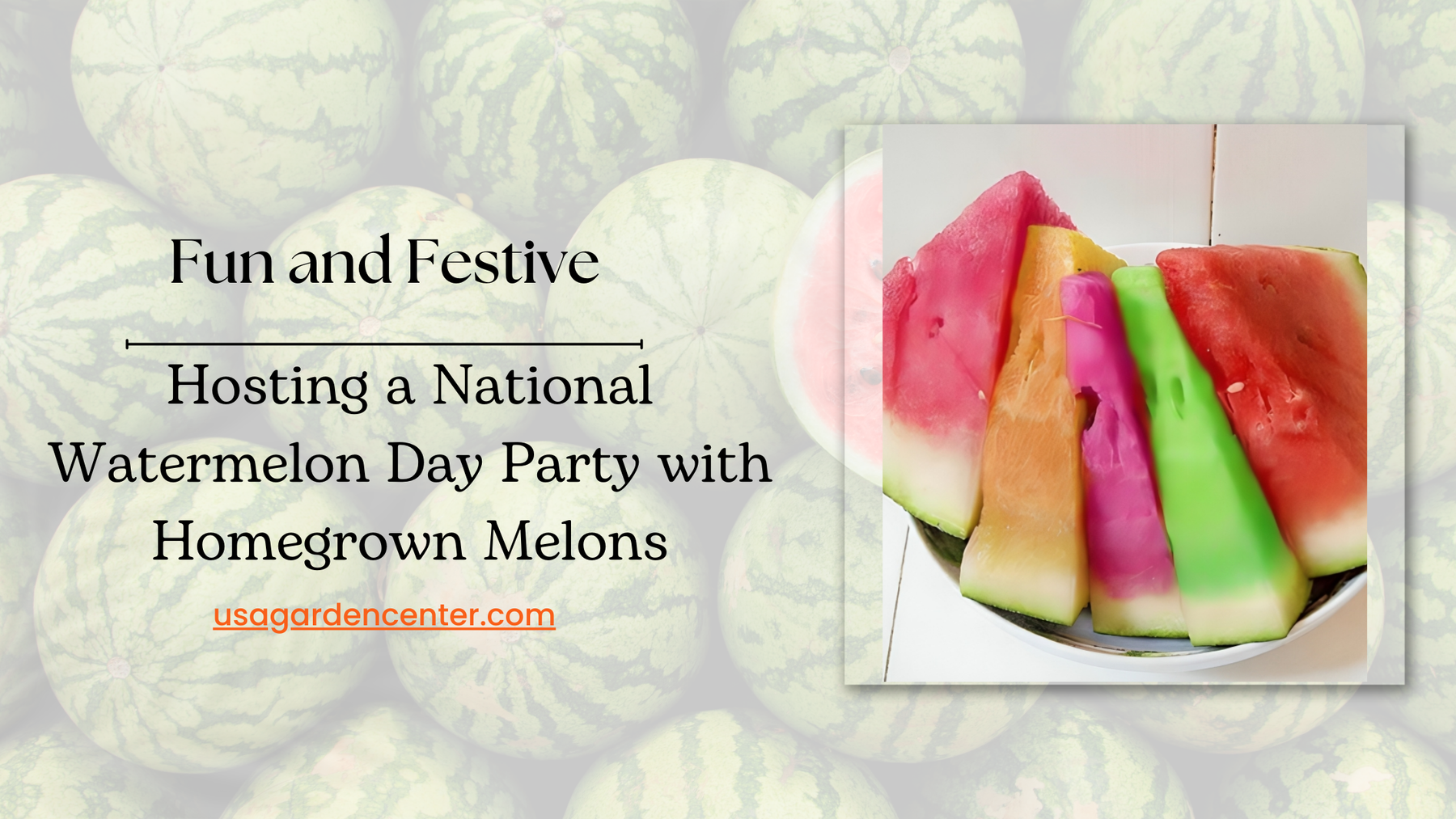 National Watermelon Day Party