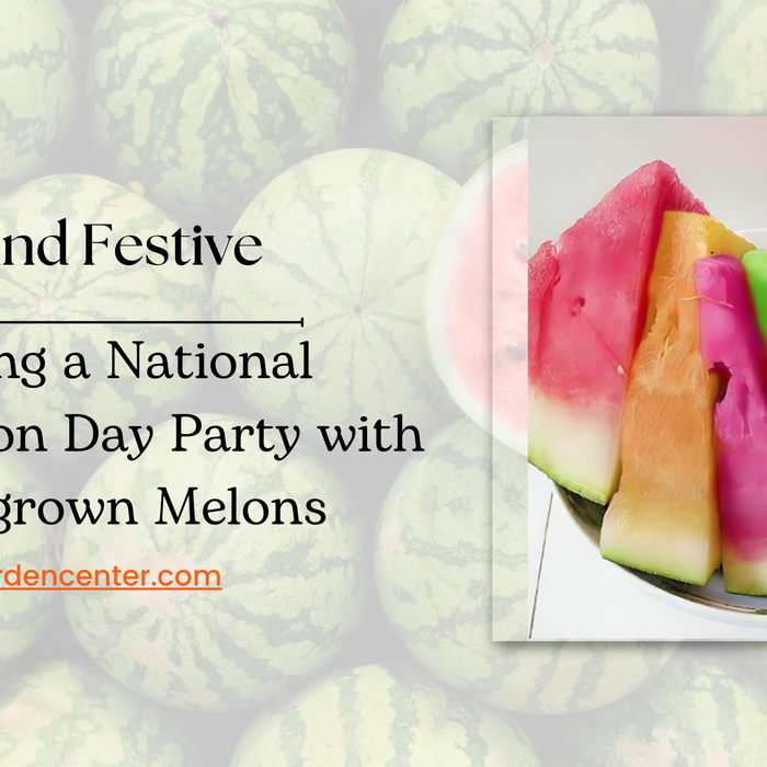 National Watermelon Day Party