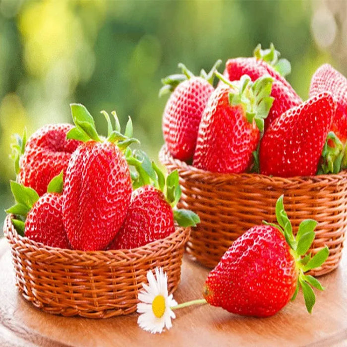 Juicy Garden Strawberries Seeds