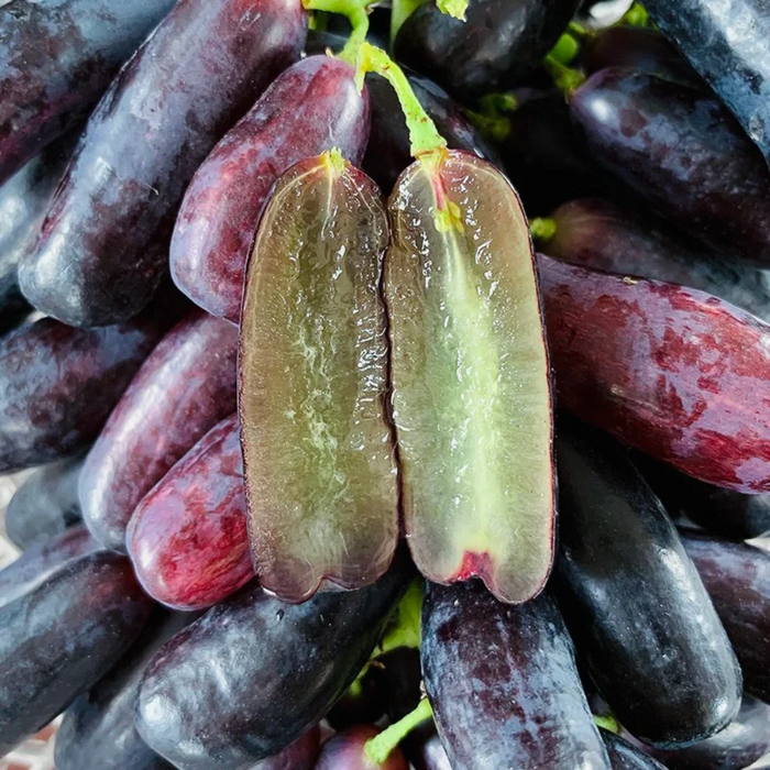 Elongated Sapphire Grape Seeds