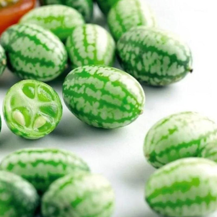 Exotic Watermelon Seeds