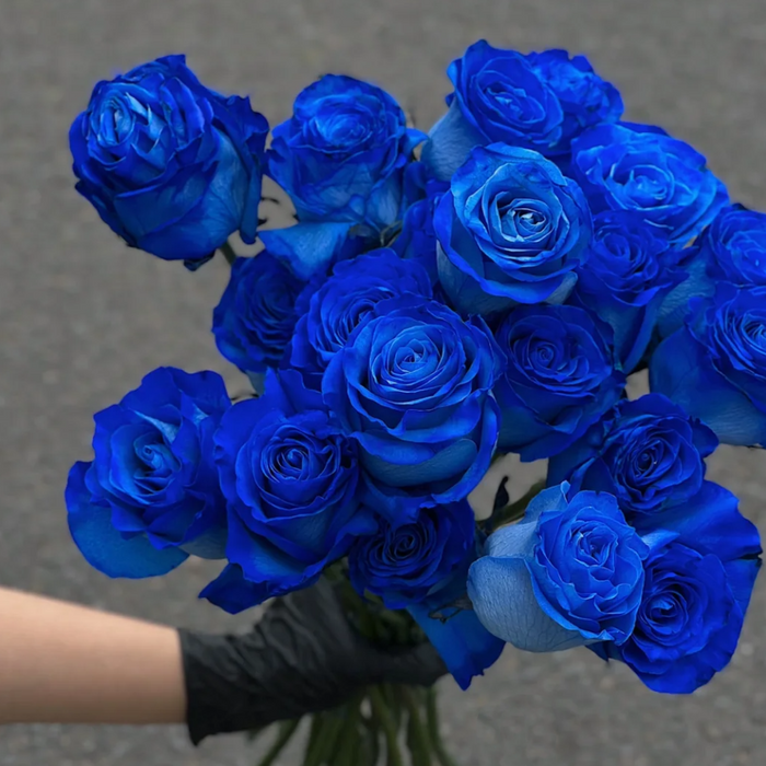 Royal Roses Bouquet Seeds