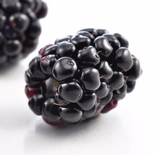 Long Blackberry Juicy Seeds