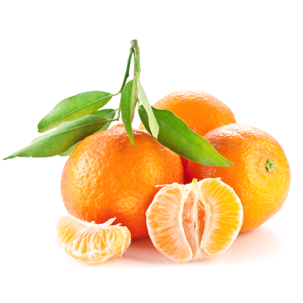 Valencia Orange Fruit Seeds
