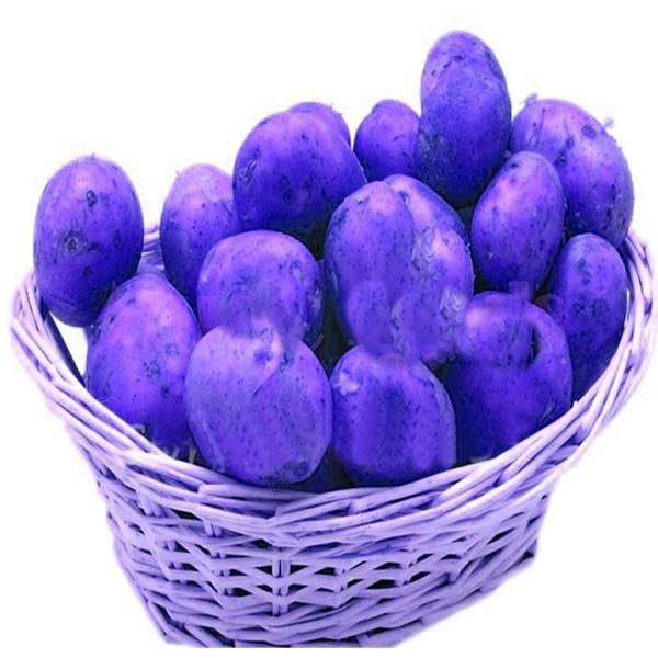 Purple Potato Seeds