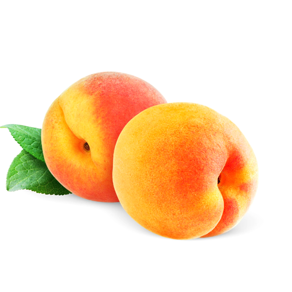 Small Potted Tree Flat Peach Seeds