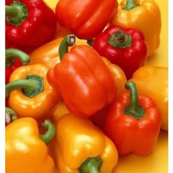 Red Chili Hot Pepper Seeds
