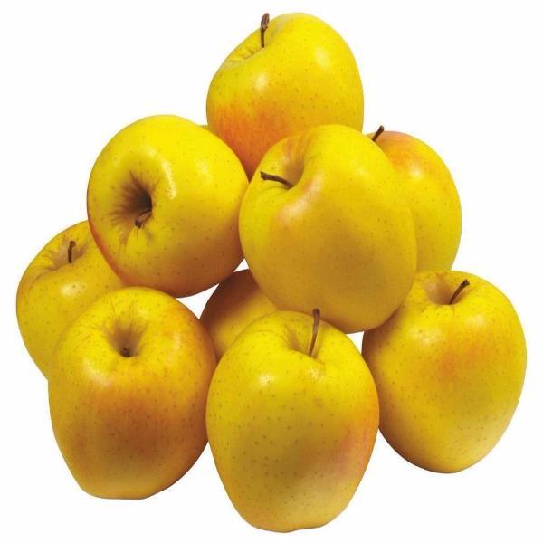 Yellow Apple Tree Organic Heirloom Seeds
