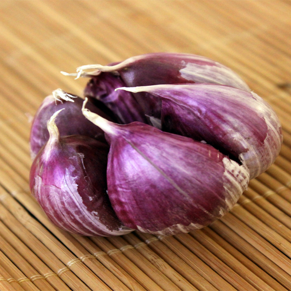 Multi-Petals Garlic Seeds