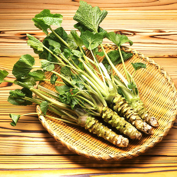 Japanese Horseradish Wasabi Seeds