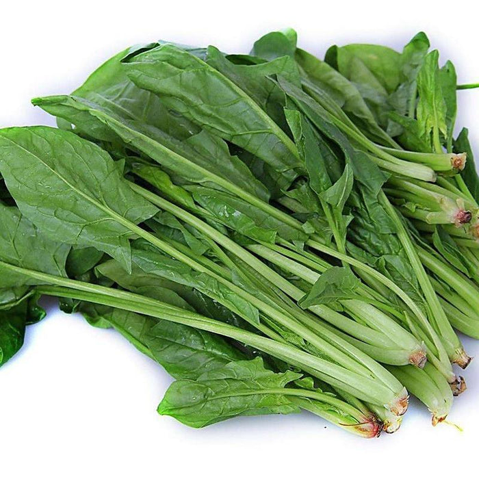 Green Salad Spinach Leave Seeds