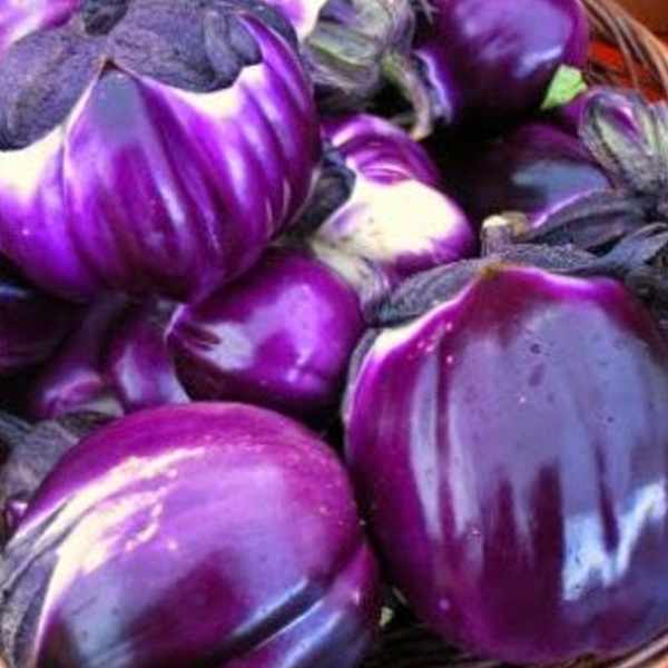 Barbarella Purple Eggplant Vegetable Seeds