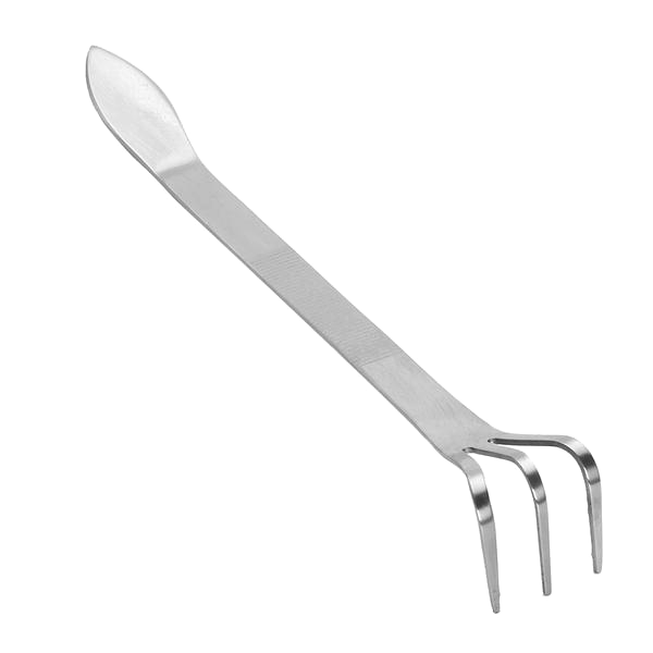 Multi-Functional Root Rake And Spatula Stainless Steel Tool