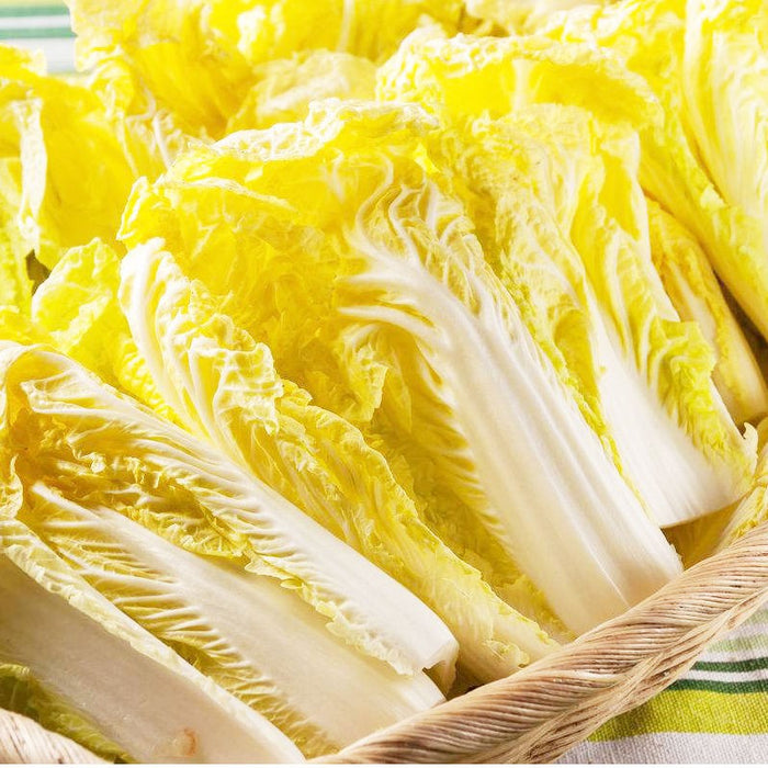 Yellow Bud cabbage Seeds