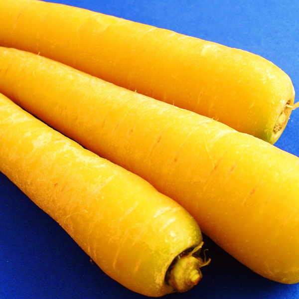 Yellow Carrot Vegetable Seeds