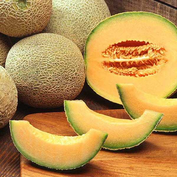 Cantaloupe Melon Vegetable Fruit Seeds