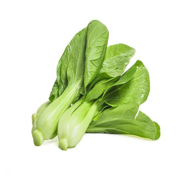 All year round 200pcs Chinese cabbage seeds