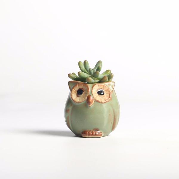 Owl-shaped Flower Pot for Home/Garden/Office Decoration