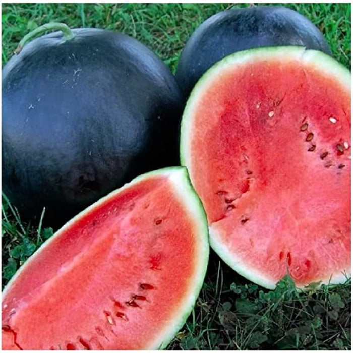 Black Skin Melon Seeds