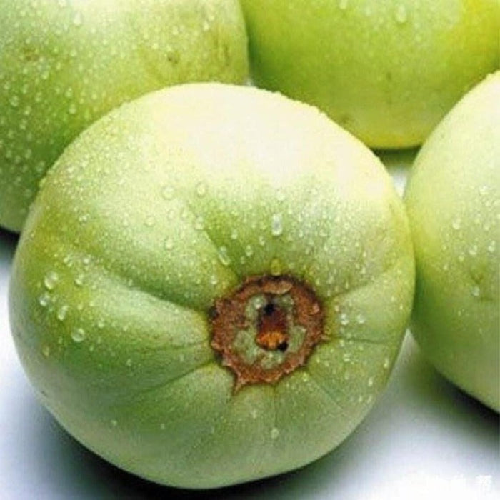 Japanese Melon Seeds