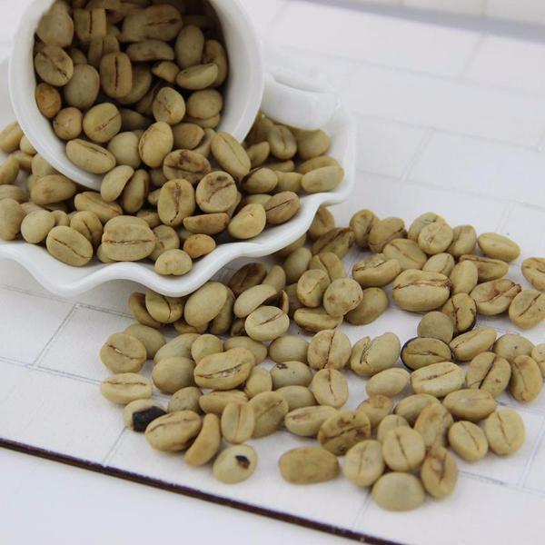 Pot Coffee Beans Seeds