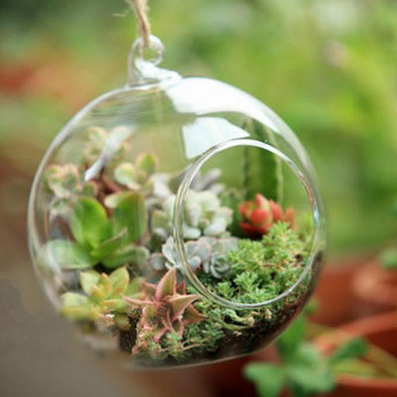 Ball Globe Shape Clear Hanging Glass Flower Vase — USA Garden Center