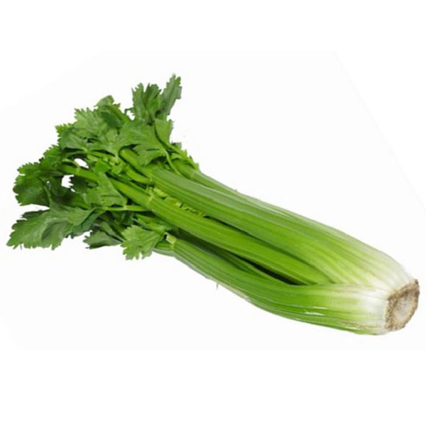 Celery Organic Vegetable Seeds