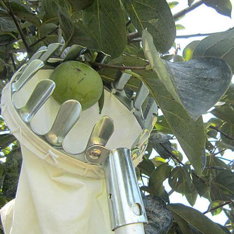 Fruit Picker Orchard Apple Pear Peach Tall Tree Picking Tool - Rama Deals - 1