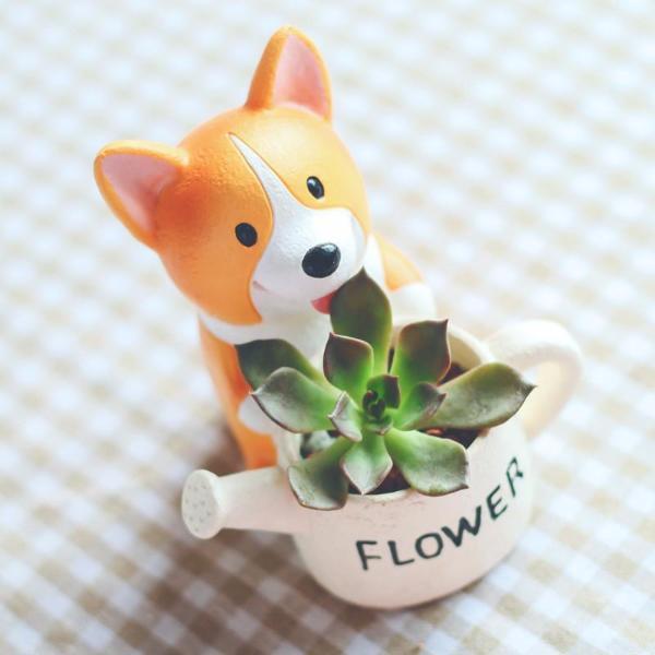 Mini Corgi Green/Flower pot