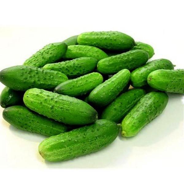 Evergreen Cucumber (20 Seeds)