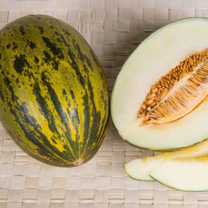 Baixiang Melon Seeds