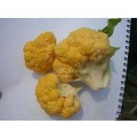 Golden Cauliflower Seeds