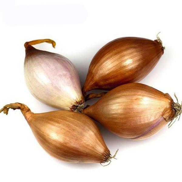 Organic Giant Onion Seeds