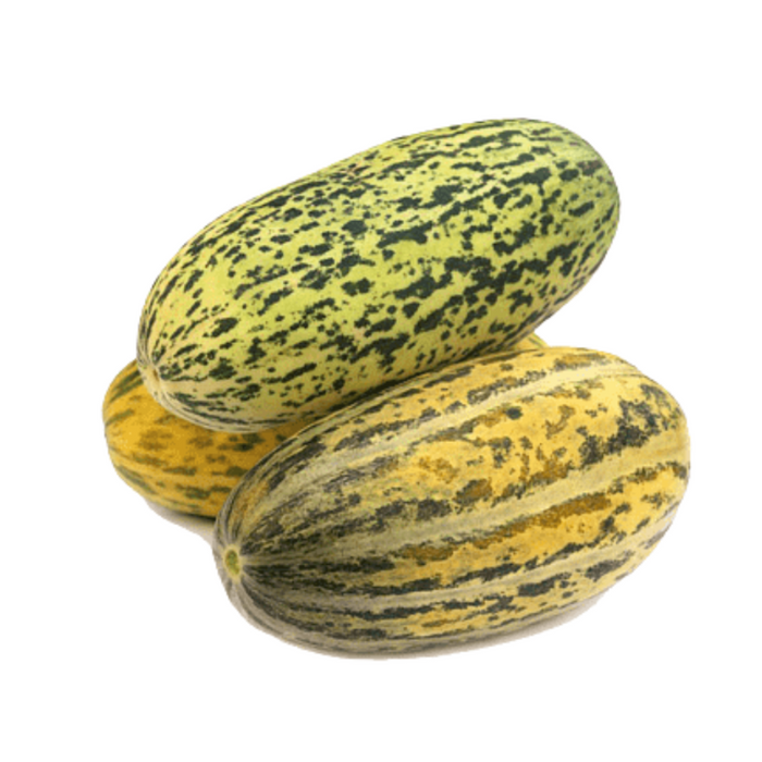 Baixiang Melon Seeds