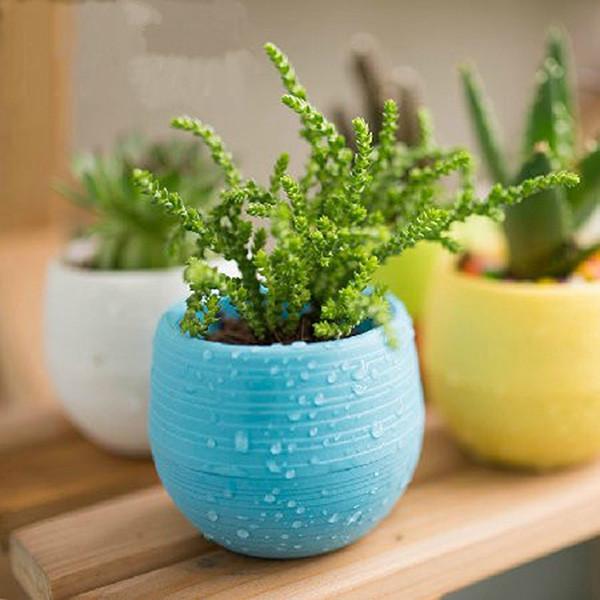 Mini Colourful plant pot