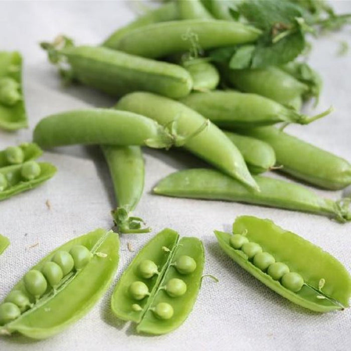 Vegetable Peas Seeds