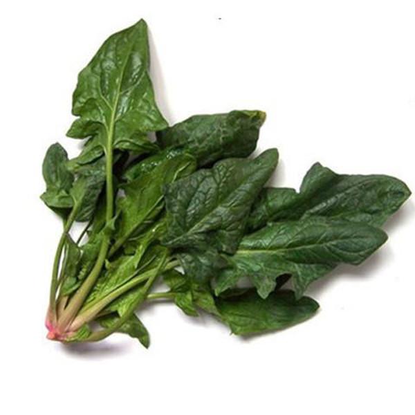 Lean Green Spinach (200 Seeds)