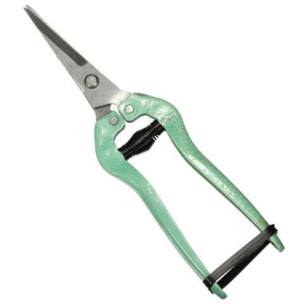 Stainless Steel Pruning Shears - Rama Deals - 3