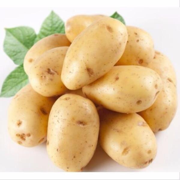 Yellow Potato Seeds