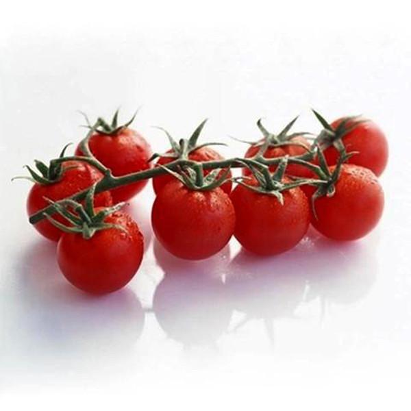 Tomato Seeds (100pcs/pack)