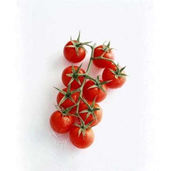 Tomato Seeds (100pcs/pack)