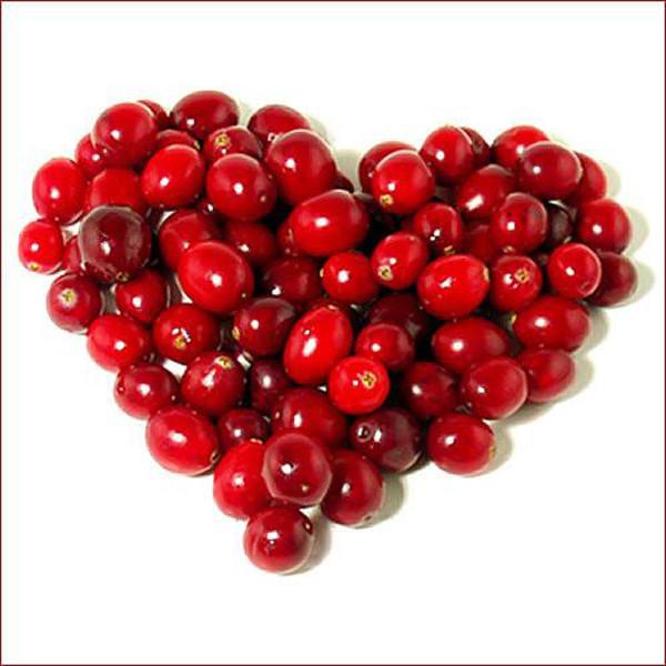 Wild Cranberry Cherry Seeds