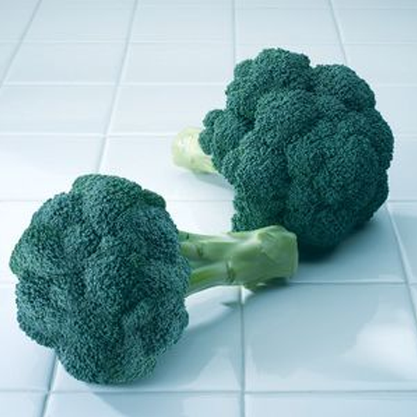 Diplomat Broccoli
