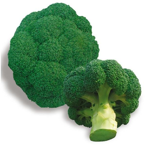 Diplomat Broccoli